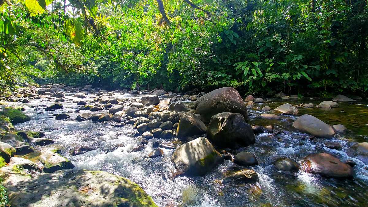 Guadeloupe Basse Terre Saut de Ecrevisses